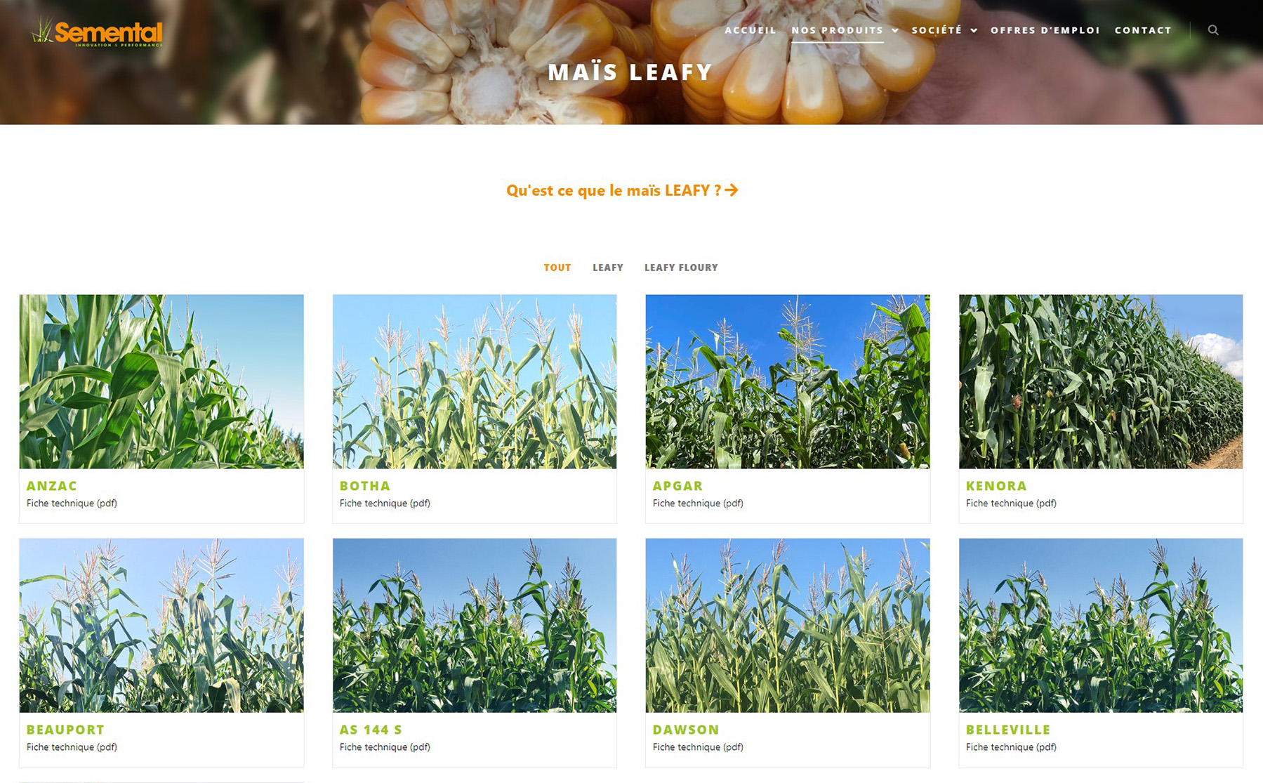 projet Semental photo 4